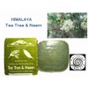 Ayurvedic Rockside Himalayan Tea Tree & Neem Soap, 3.5 oz