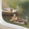 MewooFun 2 PCS Large Folding Cat Window Perch with Suction