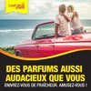 Lufterfrischer Duftdose Auto Zubehör, California Car Scents, Auto Duft, 4