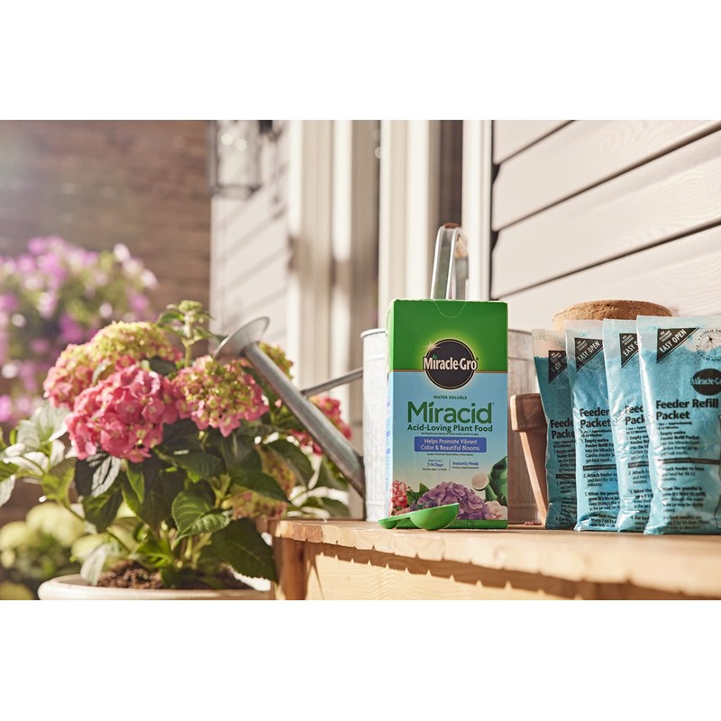 Miracle-Gro Water Soluble Miracid Acid-Loving Plant Food