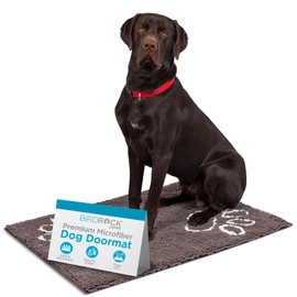 BIRDROCK Home Chenille Dog Doormat - Absorbent Surface to Keep Floors Clean, Non-Skid Bottom for Safety, Ultra-Soft & Durable, Ideal for Pets, Protects Floors from Dirt - 35 x 25, Grey