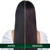 Tinte para cabello Nutrisse Oleos sin amoniaco 6.21 rubio oscuro