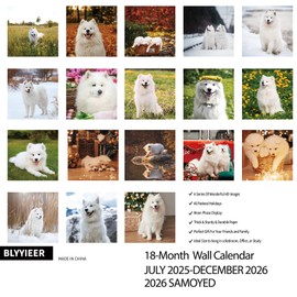 2025-2026 Wall Calendar,Samoyed Wall Calendar, 12" x 24" Open,Family Planner Calendar Organizer with Samoyed Images, for Dogs Lovers