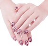 Biutee Nail Image Plate Set of 12 Nail Plates 1