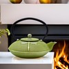 Cast Iron Teapot,SECHUDO Tea Kettle Coated with Enameled Interior for