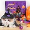 Cat Hallowen Advent Calendar 2025,13 Days Cats Toys Countdown Calendar