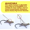 Adjustable Reptile Training Lead Harness Leash Nylon Rope for lizard