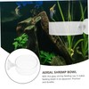 Abaodam 2PCS Transparent Shrimp Feeders with Suction Cups Compact Glass