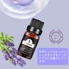 Jiutrees ラベンダー エッセンシャルオイル 10ml 天然100％ 精油 アロマオイル アロマ アロマディフューザー 加湿器用