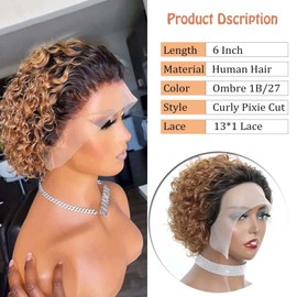 Mengbolea Short Curly Pixie Cut Lace Front Wigs 6 inch, 13X1 Human Hair HD Lace Front Wigs Plucked for Women 6 Inch (1B/#27)