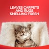 Resolve Carpet and Rug Cleaner Spray, Spot & Stain Remover,