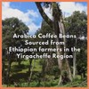 Café Grumpy Ethiopia Yirgacheffe Single Origin Whole Coffee Beans, 12