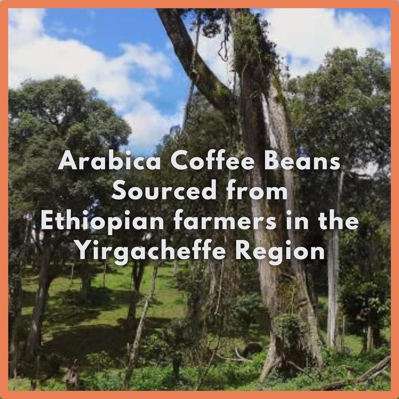 Café Grumpy Ethiopia Yirgacheffe Single Origin Whole Coffee Beans, 12