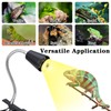 ZJNBMTFY Reptile Heat Lamp,UVA/UVB Reptile Light,360° Rotatable Clip,Turtle Heating Lamp