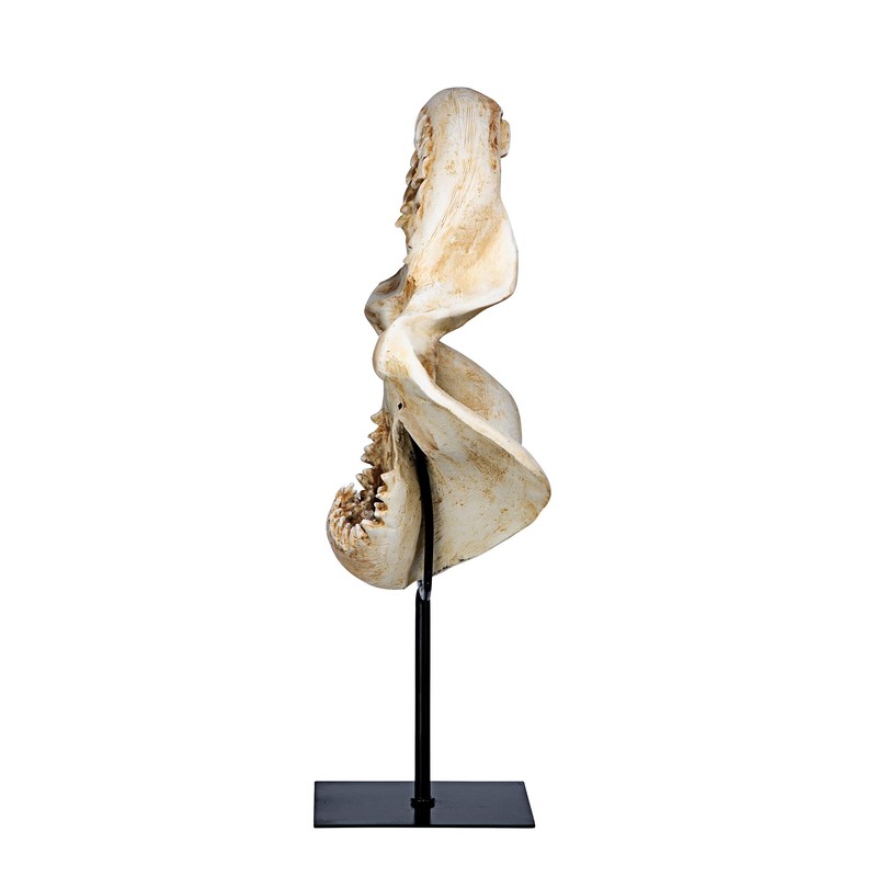 Design Toscano Shark's Jagged Jaws Statue