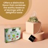Tea4U Moringa Oleifera Flavored Energy Tea (Moringa Selection) - With