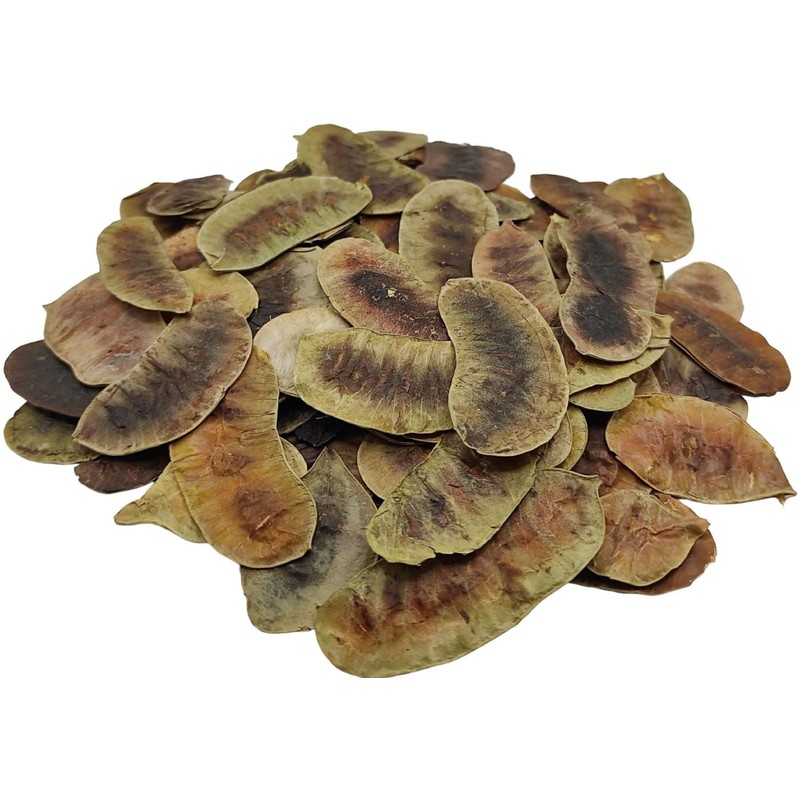 Dried Senna Pods Herbal Tea 85g to 1.95 KG Premium