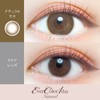 【新色】 エバーカラーワンデーナチュラル20枚入/モイストUV 【ナチュラルモカ】 -0.75