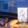 Hyuduo Small Table Lamp, Dimmable, LED Bedside Lamps, Solid Wood,
