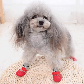 Lunali Dog Socks Socks for Dogs Anti-slip Velcro Bear Set of 4 (M, Red)