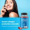 NutraChamps Vegan Collagen Boosting Gummies for Women & Men C
