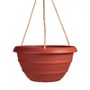The HC Companies 12 Inch Marina Hanging Basket, Clay