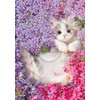 Epoch Corporation 216 Small Piece Jigsaw Puzzle Ikimono Pet Cat