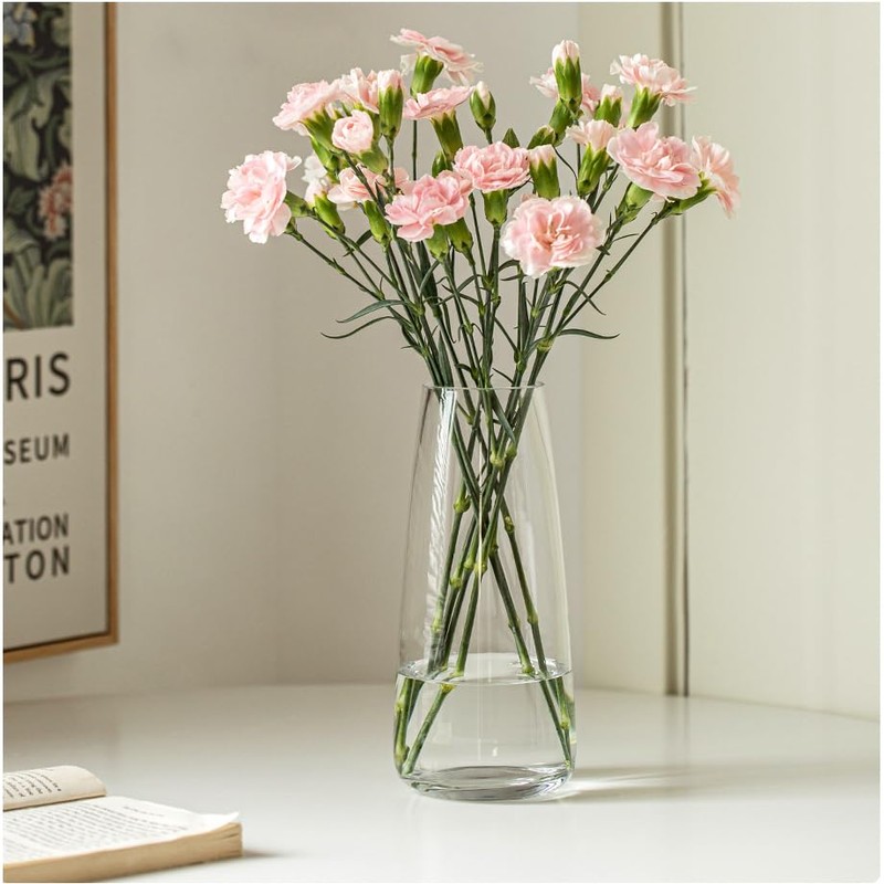 FANTESTICRYAN Modern Glass Vase Irised Crystal Clear Glass Vase for