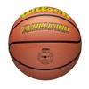 Wilson Basketball EVOLUTION WTB0595XB0603 Indoor Size 6 / Diameter 9.1