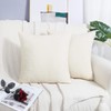 BRAWARM Chenille Throw Pillow Covers 22x22 Inches - Pack of