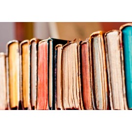 OMalley 2 pk Lint Trap