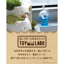 ToyLab TOY-8-02 Grow Clover Cultivation Kit, Green Hedgehog