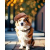 PET SHOW Dog Beret Hat for Small Medium Dogs Cats