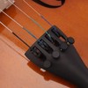 Acoustic Violin 4/4, Full Size Violin, Violin Kit with Case,