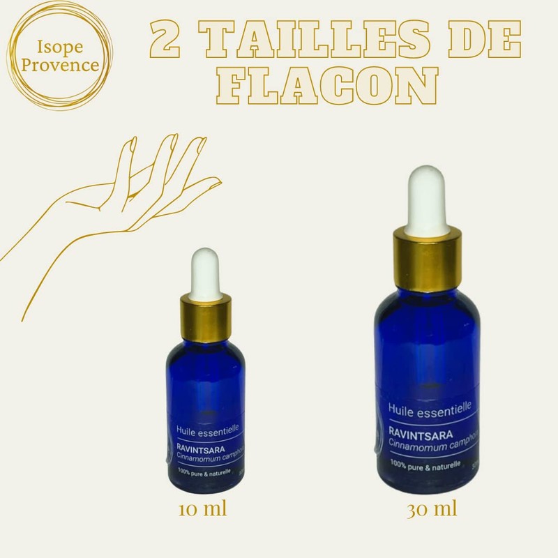 Ravintsara Essential Oil 30ml (Chemotype Cinnamomum Camphora) 100% Pure and