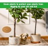 3Pack Coconut Fiber Mulch Ring, 14 Inch Coco Coir Tree
