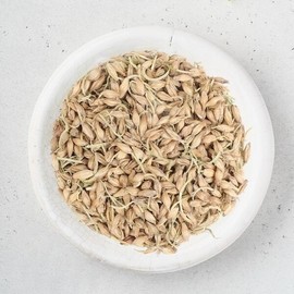 Fresh Herbs Domestic Malt 600g Roasted Malted Barley - 1. Malt 600g / 신선약초 국산 맥아 600g 볶은 맥아 보리 - 1.맥아 600g