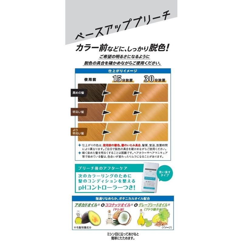 Hoyu Beauteen Base Up Bleach
