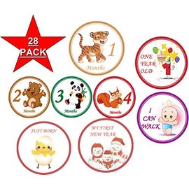 28 Baby Monthly Stickers - First Year - Mount to Mount Birthday and all Hollidays - Best Photos for your Boy and Girl - 4 inch diameter