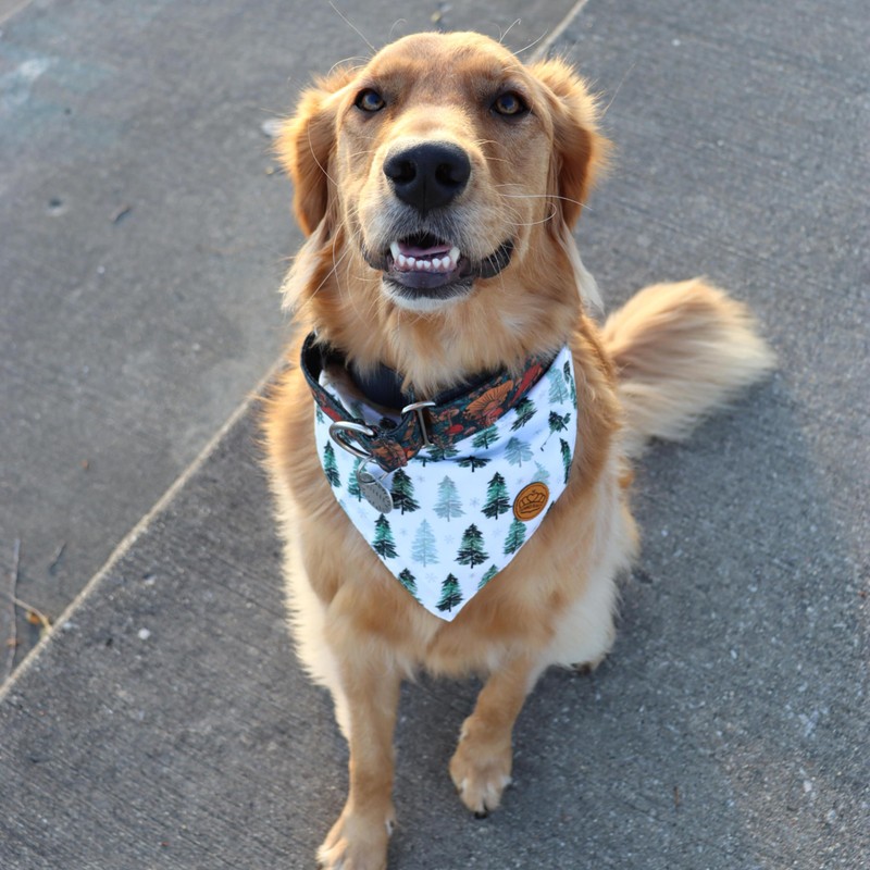 CROWNED BEAUTY Christmas Dog Bandanas Reversible Small 2 Pack, Winter
