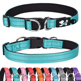 Haoyueer Padded Dog Collar, Reflective Dog Collars for Small, Medium and Large Dogs, Comfortable Soft Neoprene, Adjustable Basic Dog Collars (M, Green)