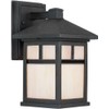 Forte Lighting 1773-01-04 Exterior Wall Light with Honey Glass Shades,