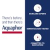 Aquaphor EUCERIN AQUAPHOR Lip Repair Stick DUO PACK for Dry,