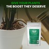 Humboldts Secret Everything Growing 20-20-20 Fertilizer | All Purpose Water