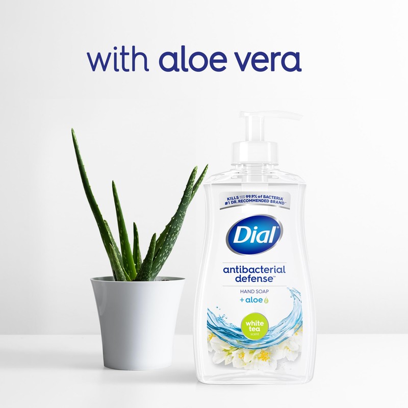 Dial Antibacterial Defense Liquid Hand Soap + Aloe, White Tea