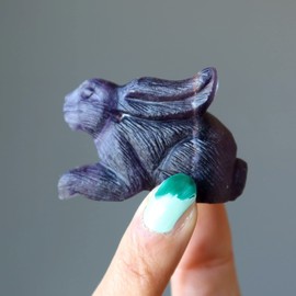 Fluorite Rabbit Hop to Healing Crystal Purple Animal Figurine
