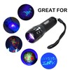HQRP Professional Flashlight Blacklight 3W LED 390nm Wavelenght with Variable
