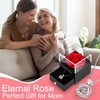 Suturun Preserved Flowers Real Rose,Eternal Rose with Necklace Gifts for