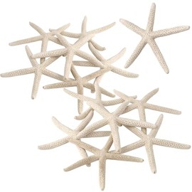 PPCLION 12 PCS Natural Starfish 2-3" for Crafts Making Beach Theme Party Wedding Decoration, Home Wall Decor, Christmas Ornaments