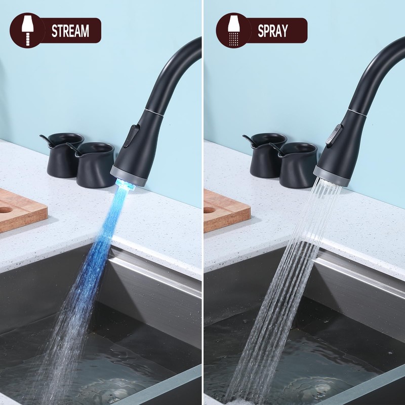 ICREEH Matte Black 2 in 1 Kitchen Sink Faucet -